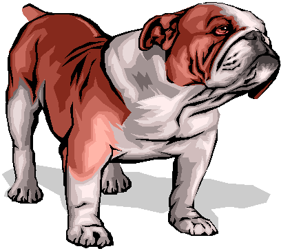 A bulldog, our school mascot